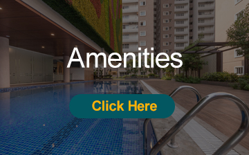 3 BHK Flats for Sale in Amaravathi&vijayawada